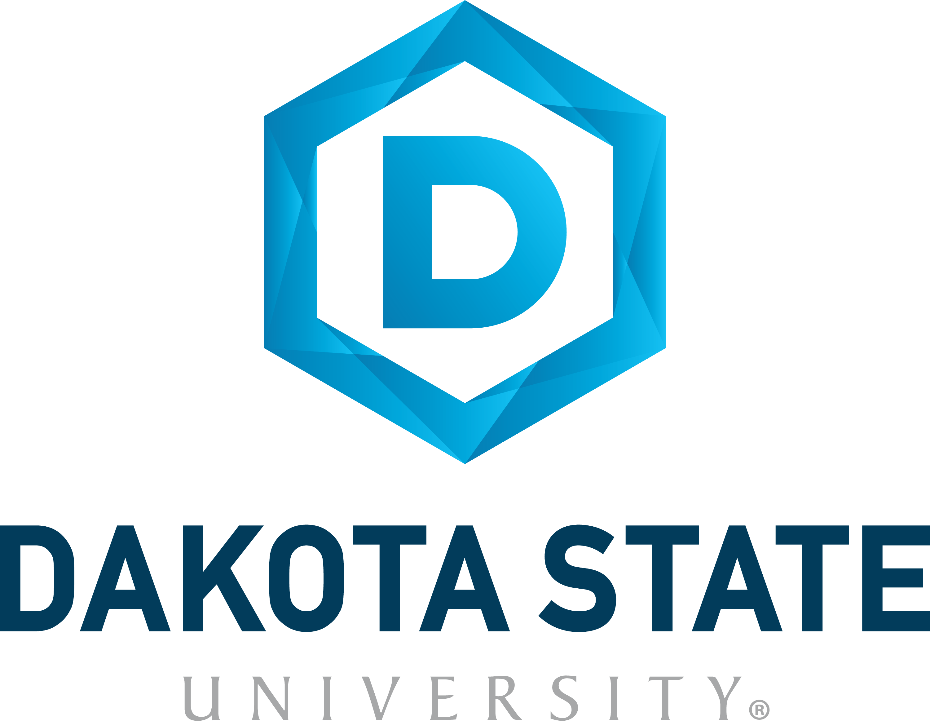Dakota State University Logo